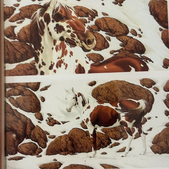 Bev Doolittle "Hide And Seek" Framed Print - Picture 8 of 16